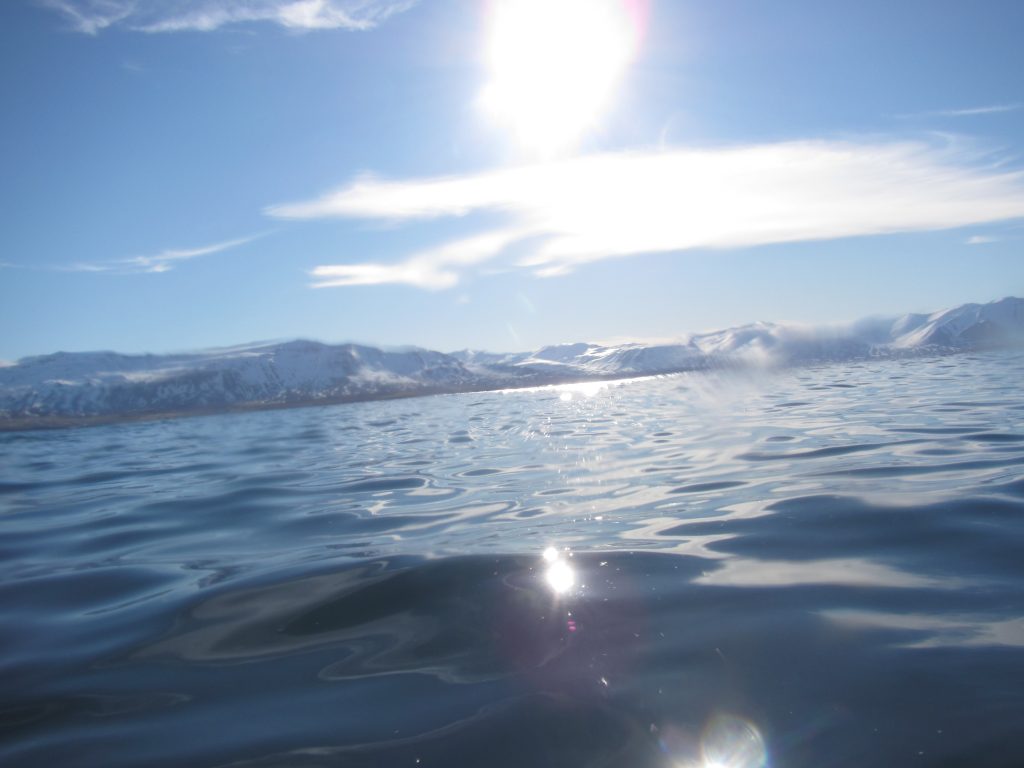 Looking over the fjord